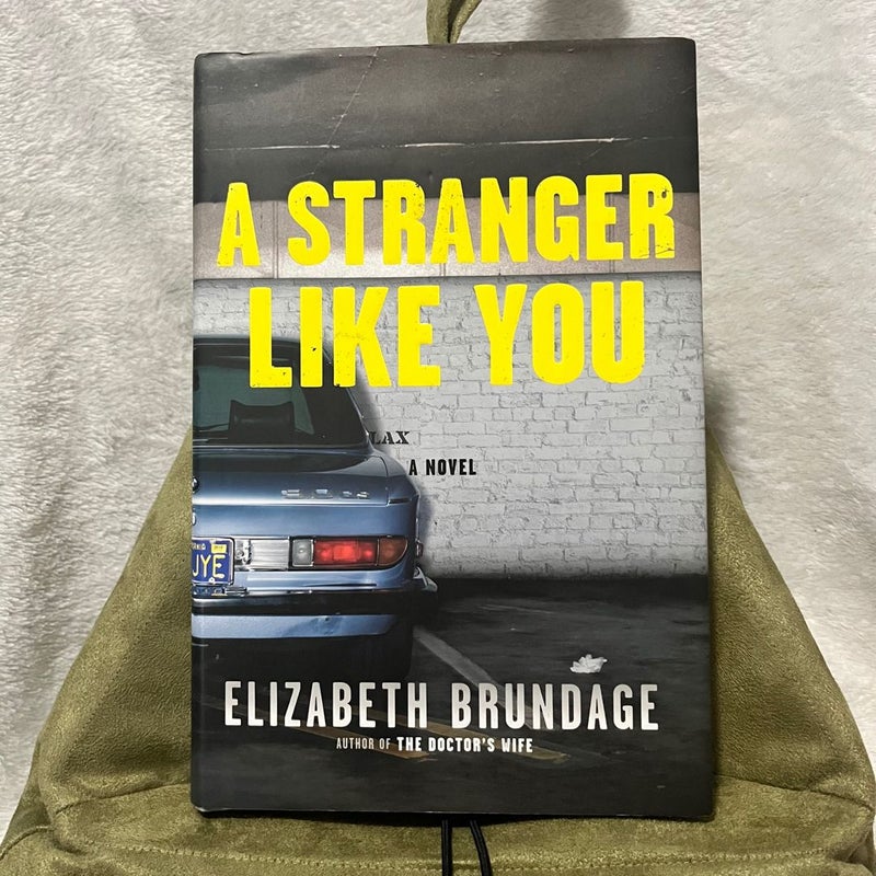 A Stranger Like You