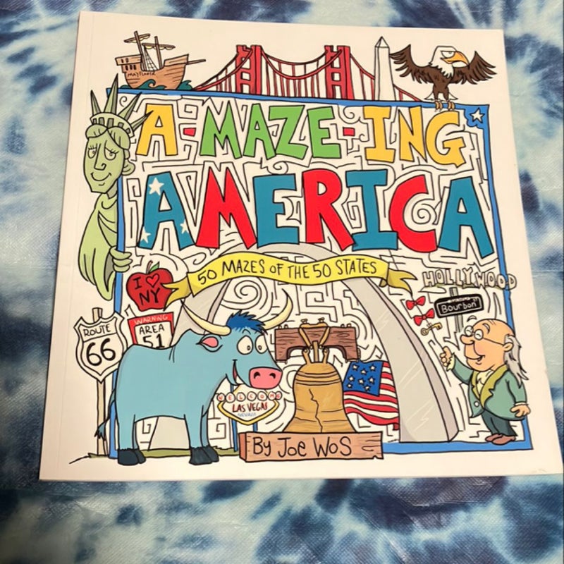 A-MAZE-ING America