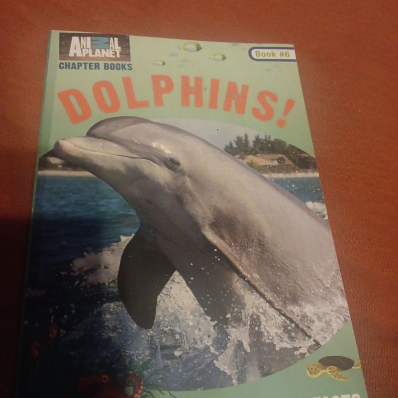 Dolphins! (Animal Planet Chapter Book #6)