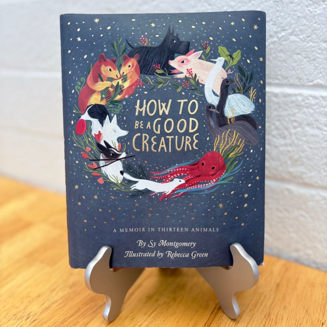 Sale image for 6ae8371b-f5a9-4056-a512-9fb082622466-zH8Zzcv2OEXGkfv1FXiRiqTafKe2