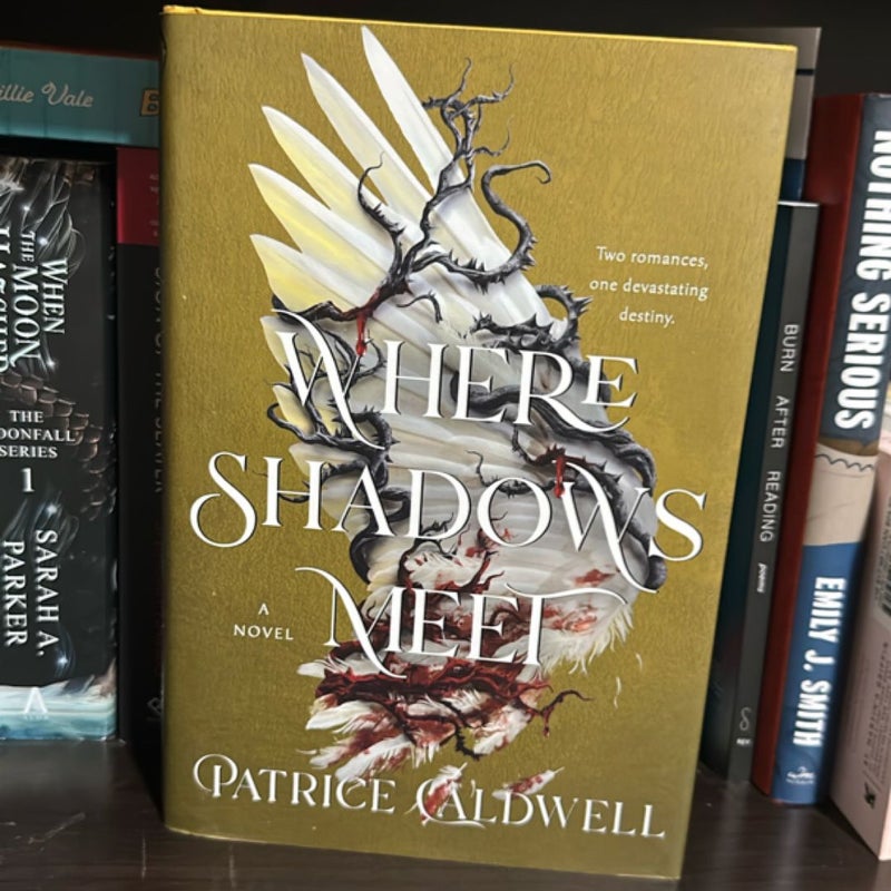 Where Shadows Meet