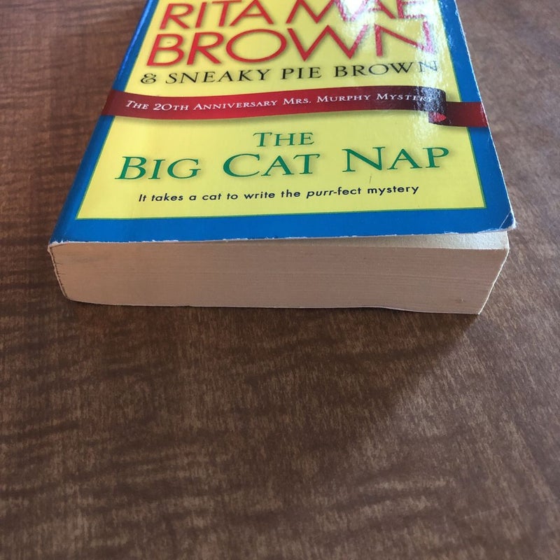 The Big Cat Nap