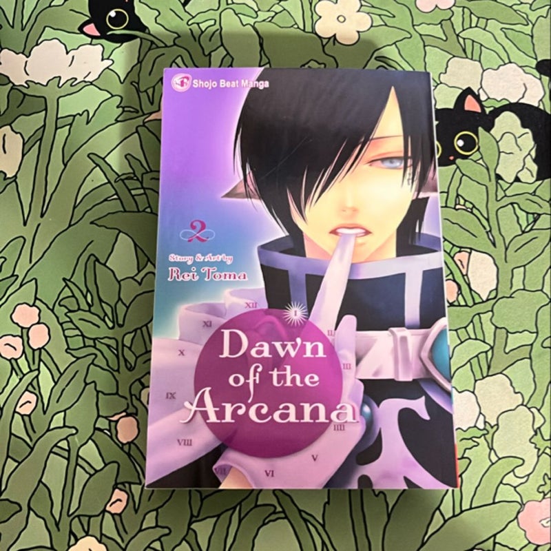 Dawn of the Arcana, Vol. 2