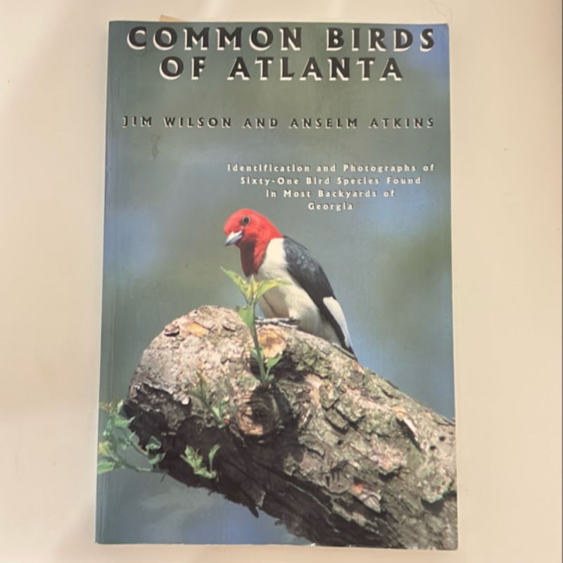 Common Birds of Atlanta