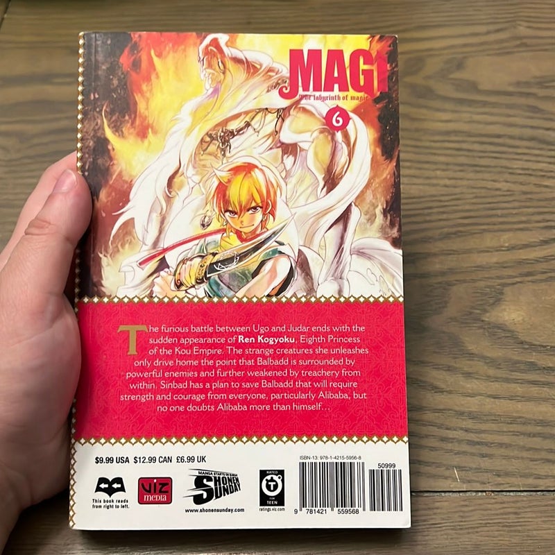 Magi: the Labyrinth of Magic, Vol. 6