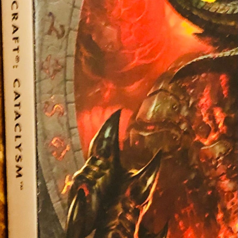 World of WARCRAFT: Cataclysm edition 2010 Gaming retro vintage book