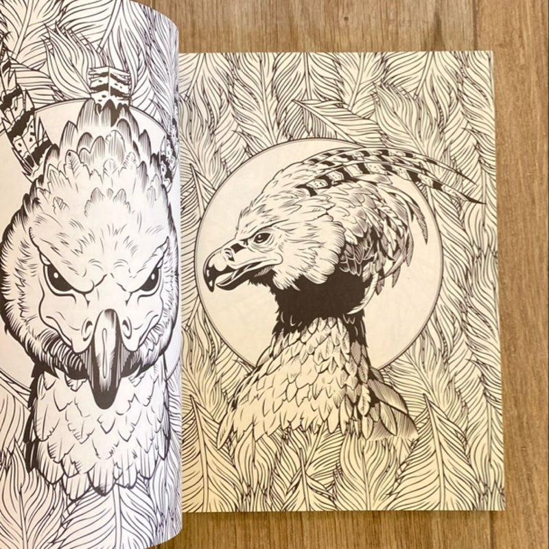 Harry Potter - Magical Creatures Coloring Book