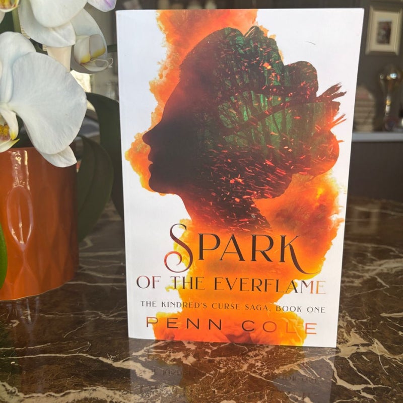 INDIE OOP Spark of the Everflame