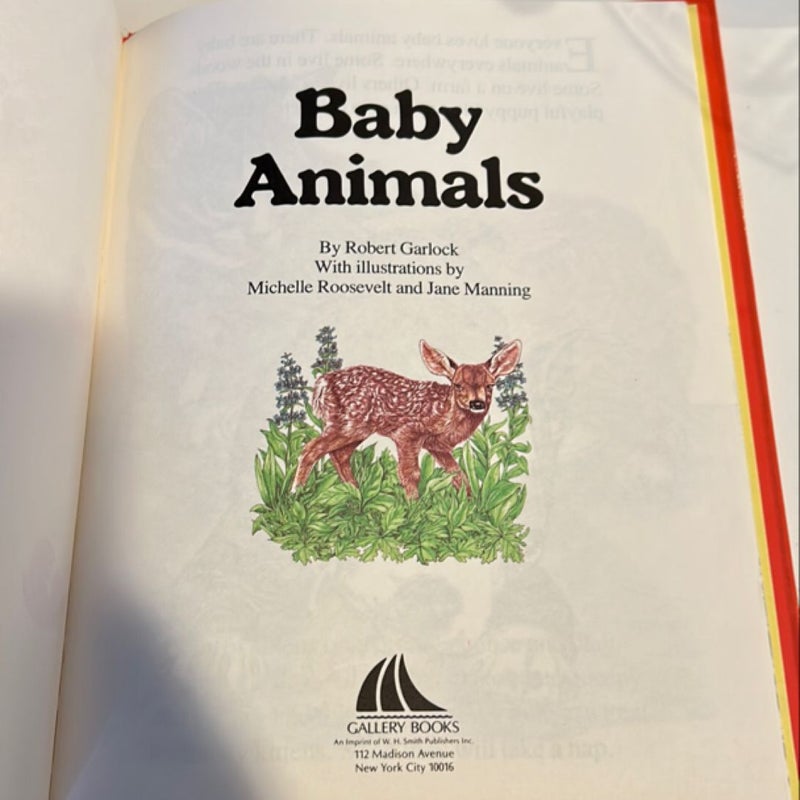 Baby Animals 2