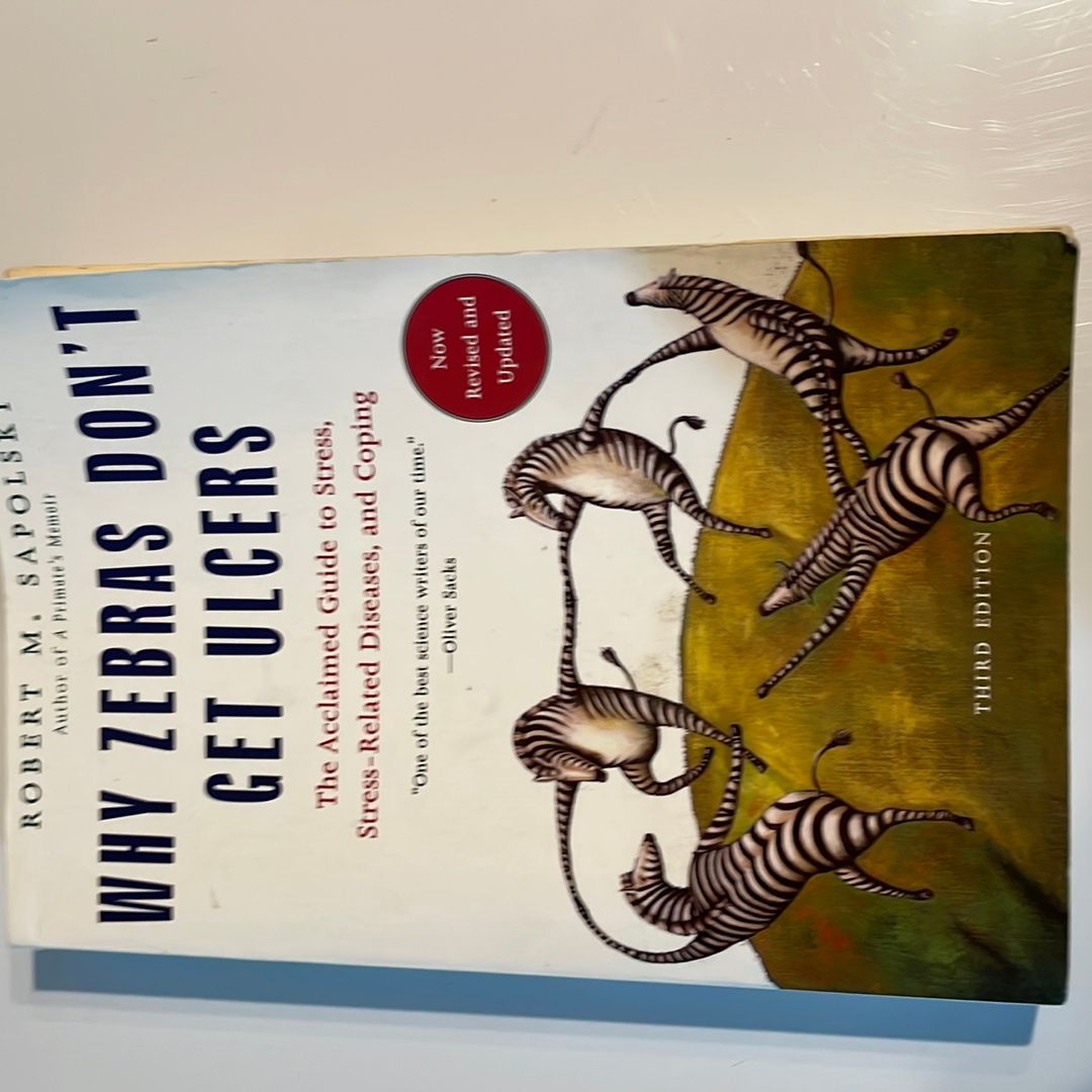 Sale image for 439b310c-44a8-498c-8b96-37f2e6e66dfe-umwxVq6fyTcY6IRp9glZOOdjyVq2