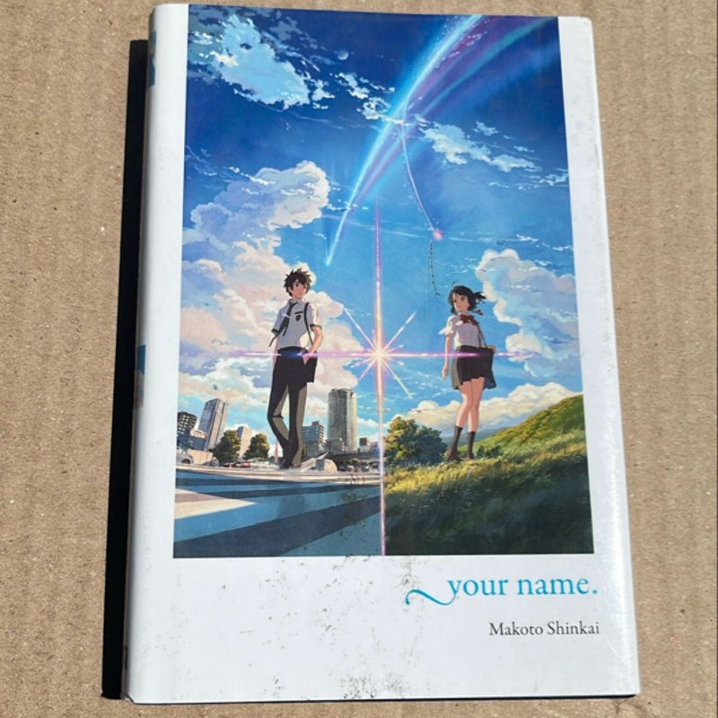 Your Name. (light Novel)