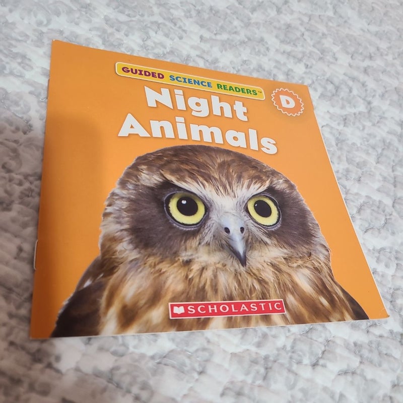 Night Animals 