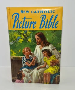 Catholic Picture Bible (Popular Stories from the Old and New Testaments) 