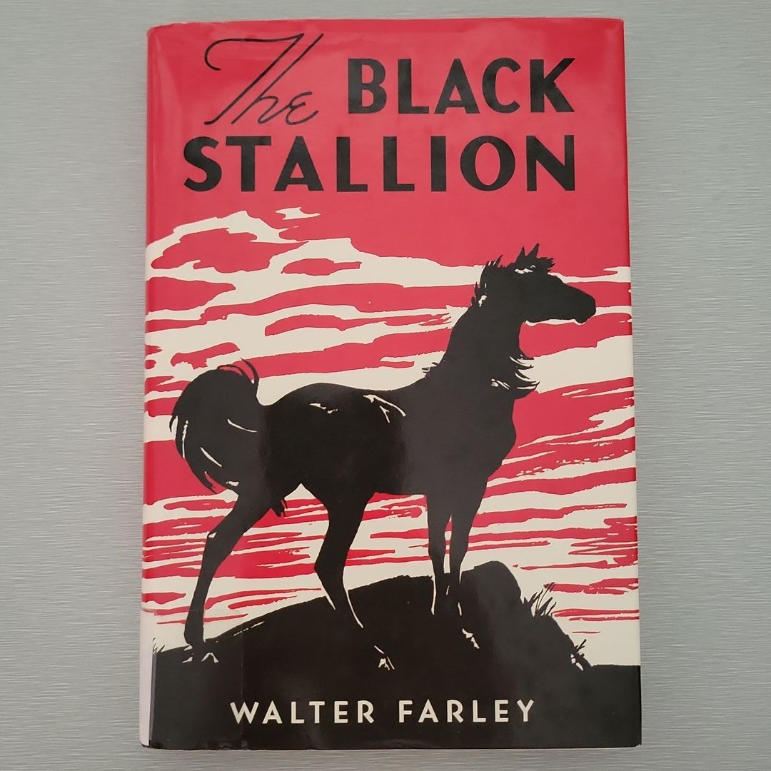 The Black Stallion