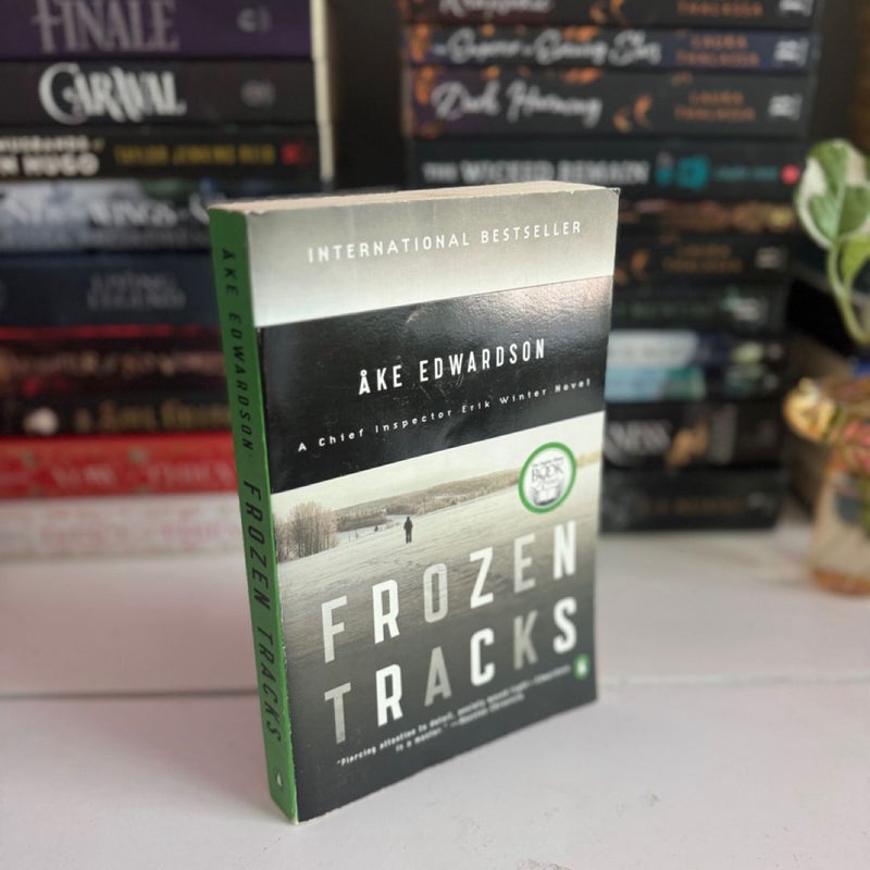 Frozen Tracks