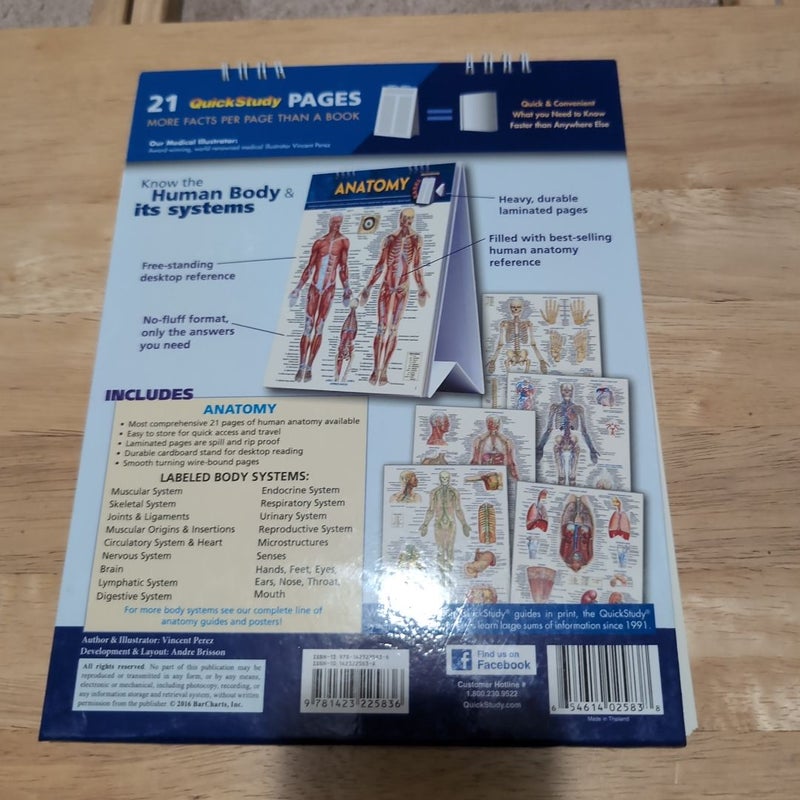 Anatomy Easel Book