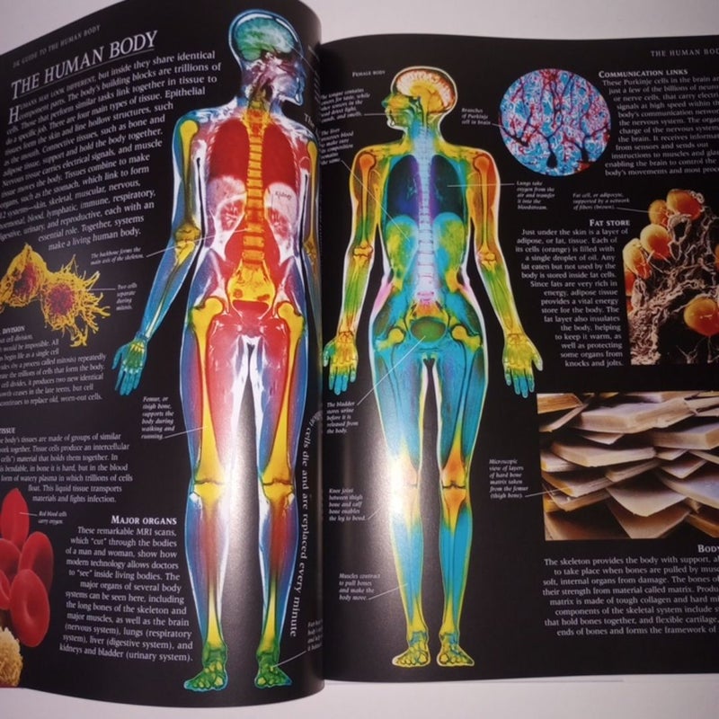 A Guide to the Human Body