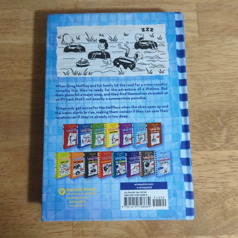 The Deep End (Diary of a Wimpy Kid Book 15)