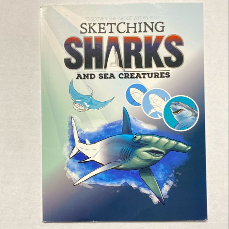 Sketching sharks, and sea creatures