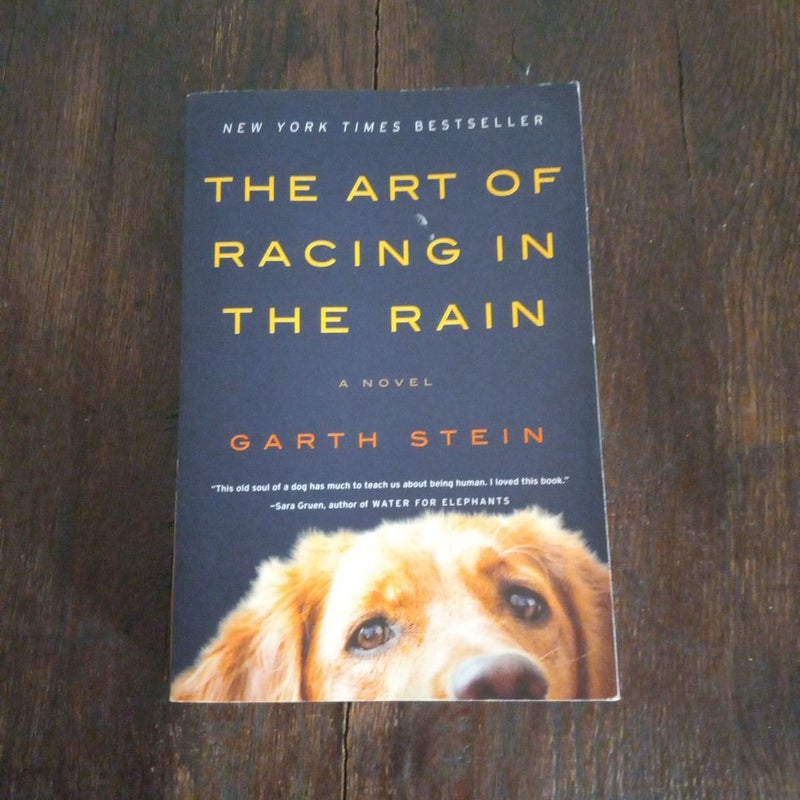 The Art of Racing in the Rain