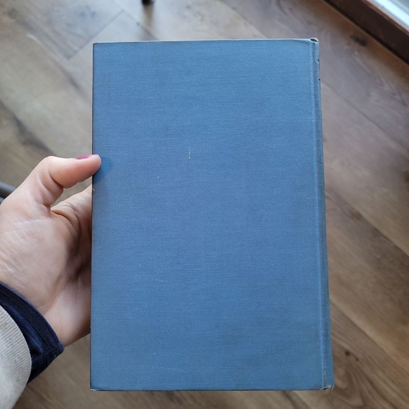 The Blue and The Jungle