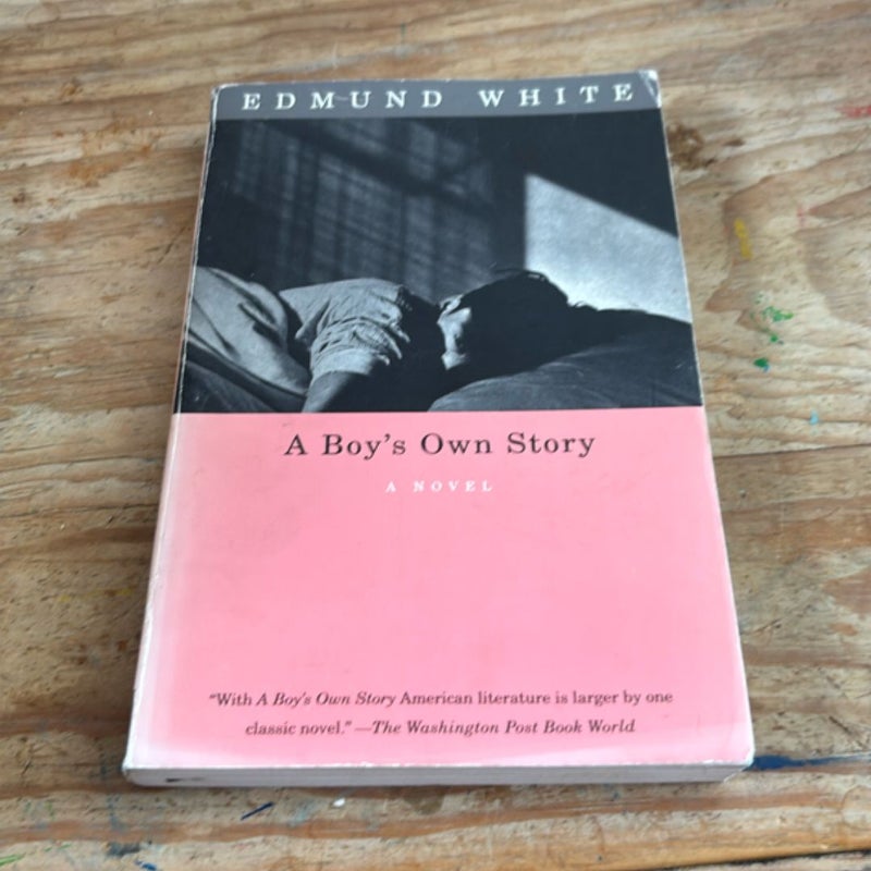 A Boy's Own Story