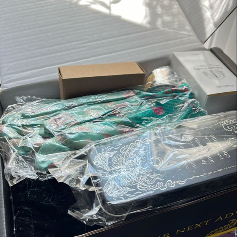 Assortment of book box goodies 