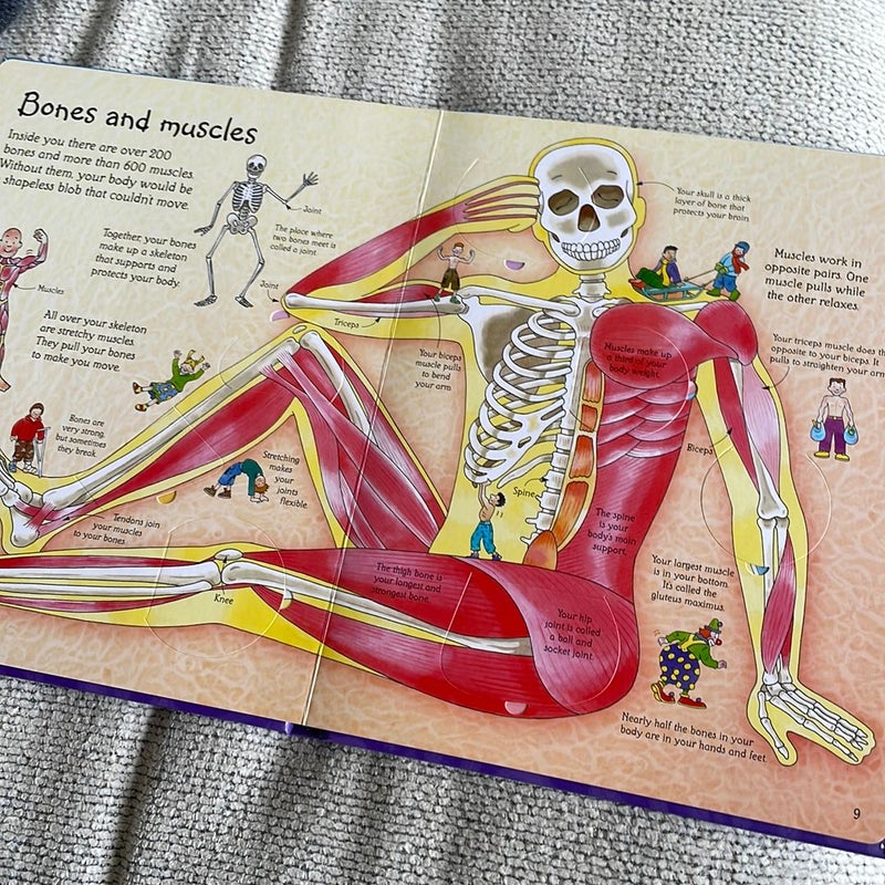 USBORNE Flap See Inside Your Body