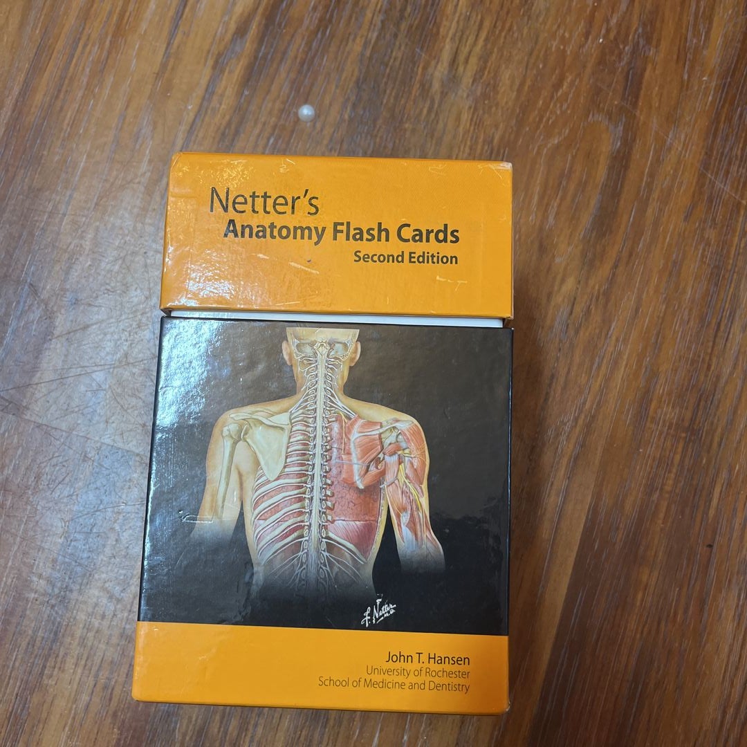 Netter's Anatomy Flash Cards by John T. Hansen