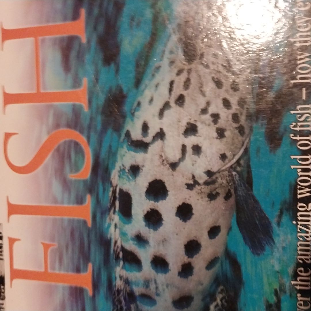 "Aquarium Fish" DK Eyewitness Handbook Paperback By Dick Mills | Used - GOOD Condition
