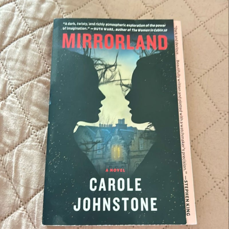 Mirrorland