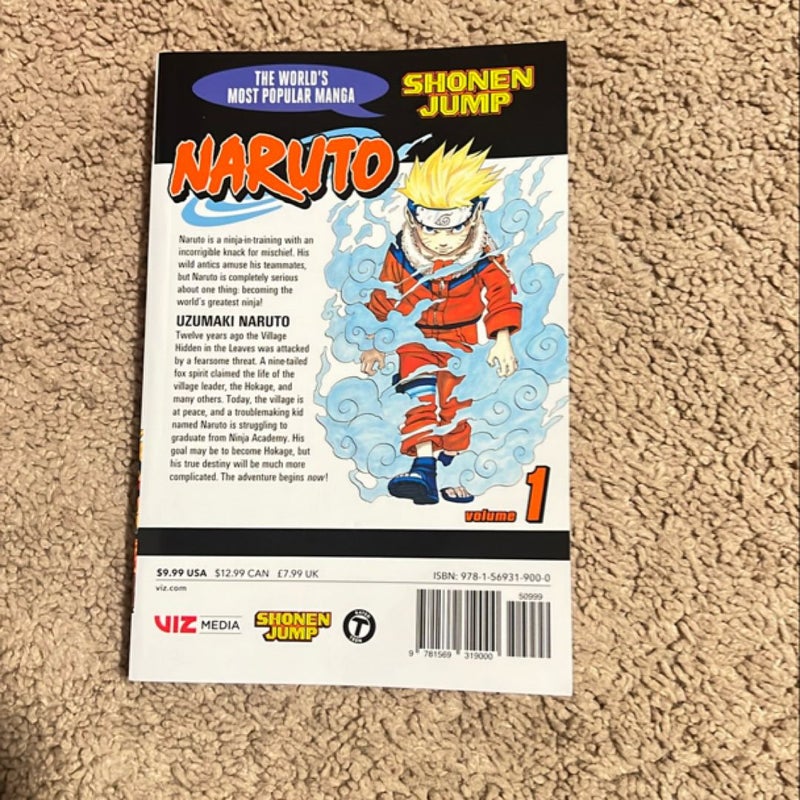 Naruto, Vol. 1