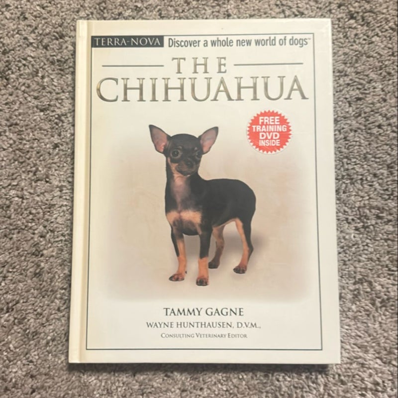 The Chihuahua
