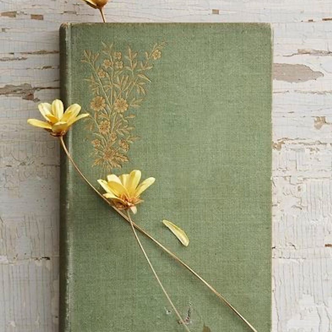 Serene Scribe