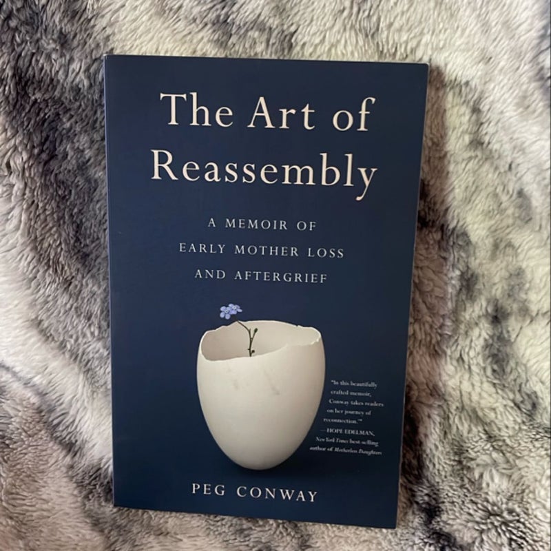 The Art of Reassembly