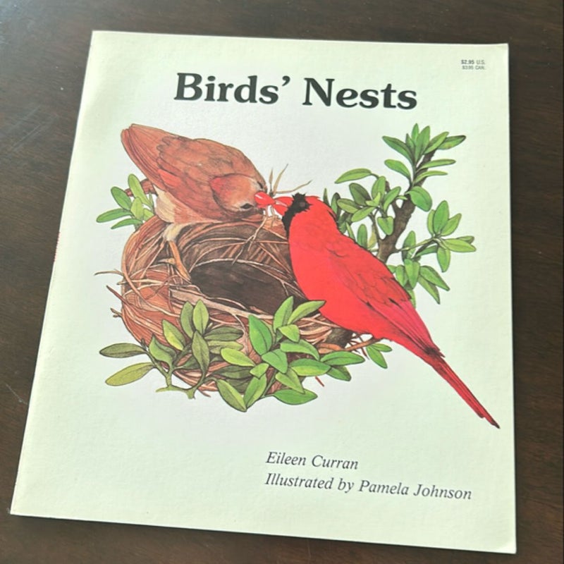 Birds’ Nest 
