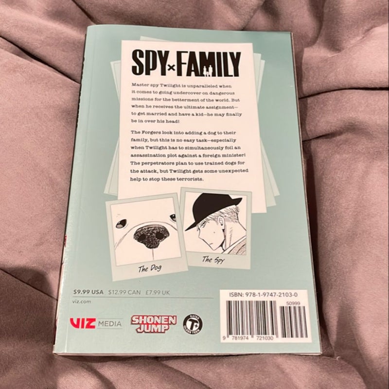 Spy X Family, Vol. 4