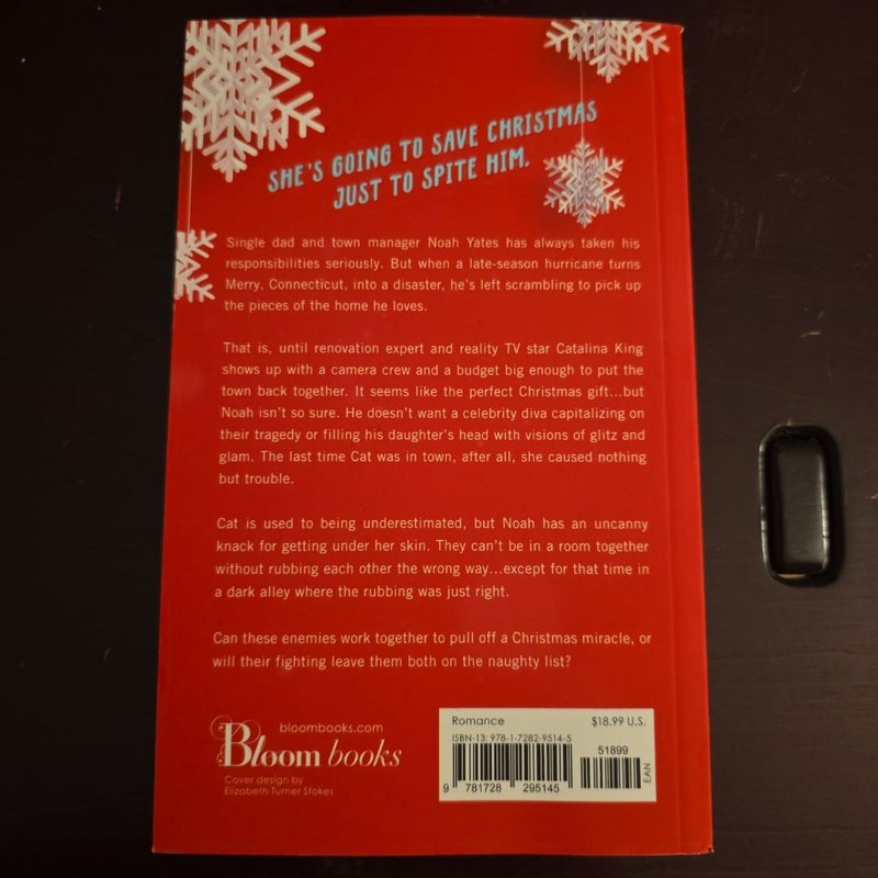 The Christmas Fix