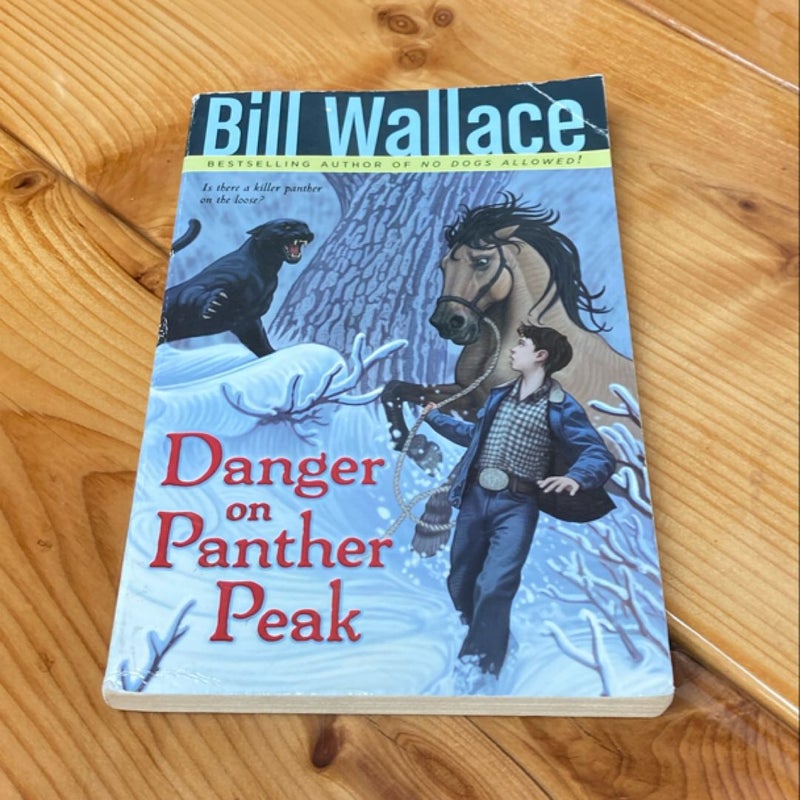 Danger on Panther Peak