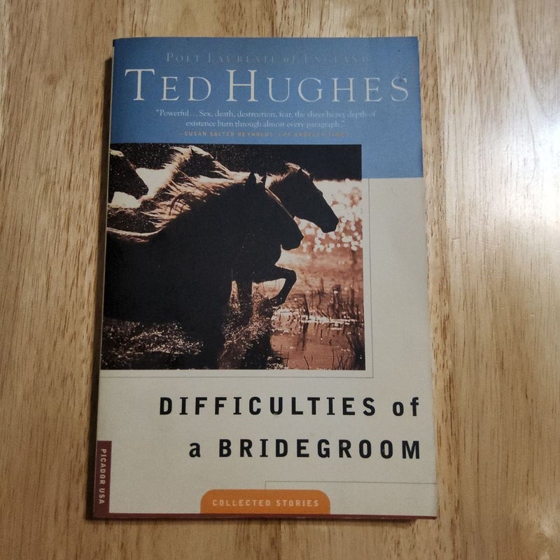 Difficulties of a Bridegroom