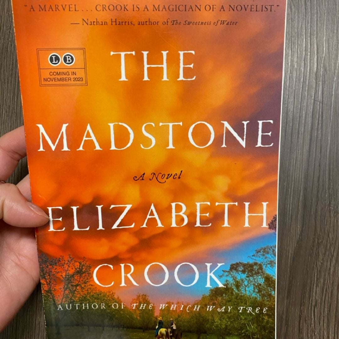 The Madstone ARC by Elizabeth Cook, Paperback | Pangobooks
