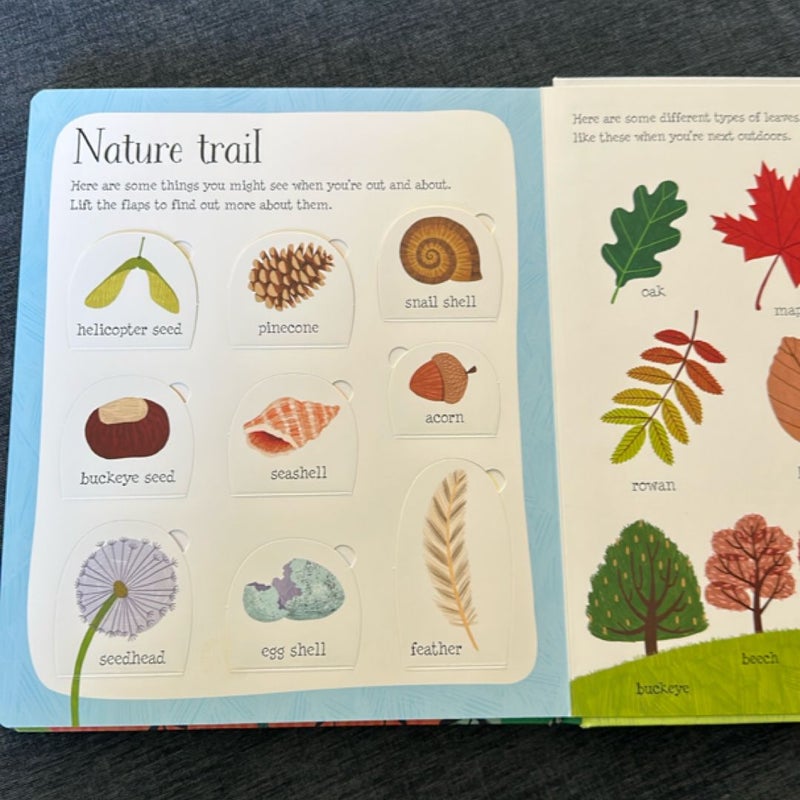 Lift-The-Flap Nature
