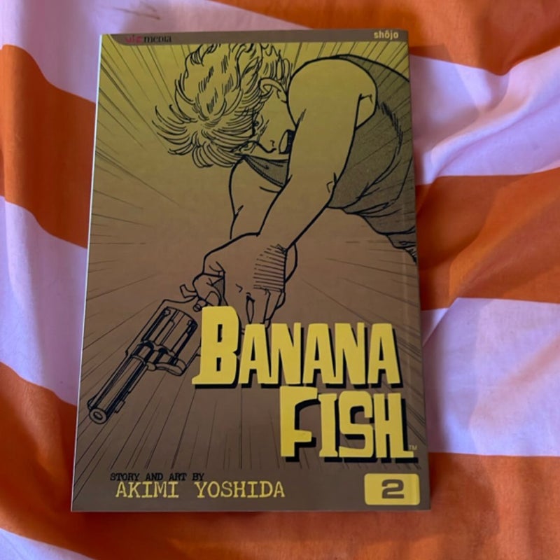 Banana Fish, Vol. 2