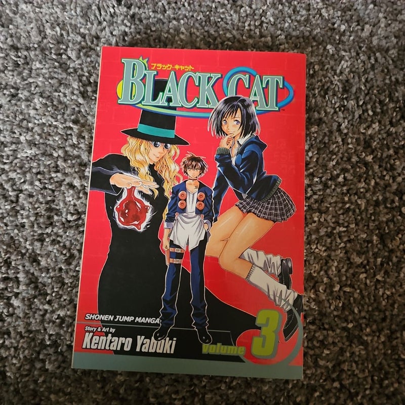 Black Cat, Vol. 3