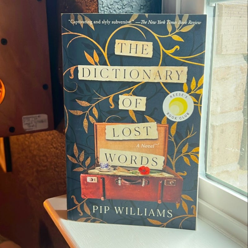 The Dictionary of Lost Words