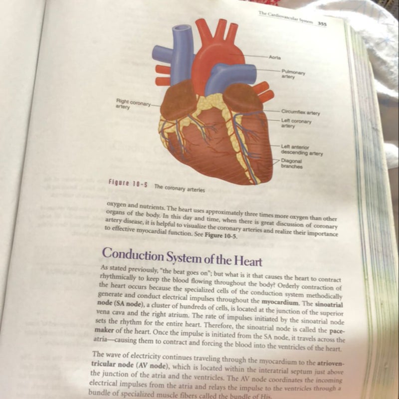 Comprehensive Medical Terminology