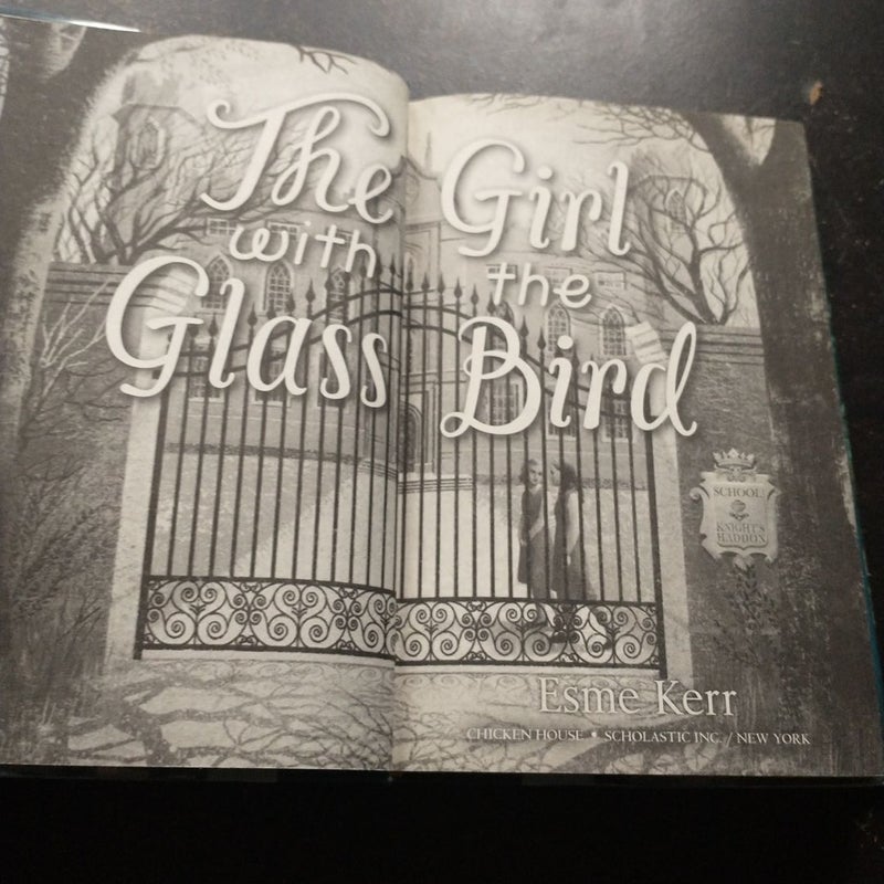 The Girl with the Glass Bird