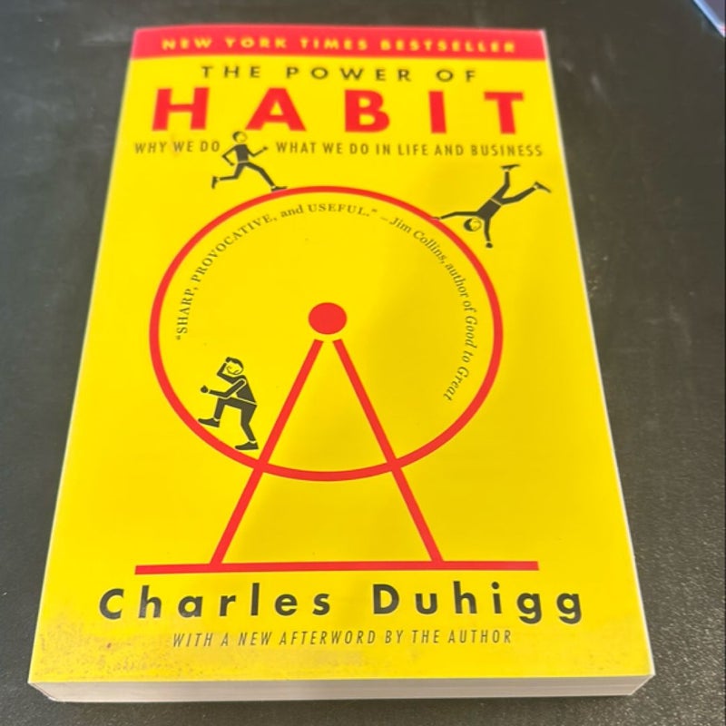 The Power of Habit