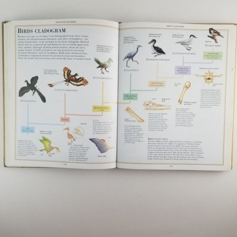 Dinosaur Encyclopedia DK