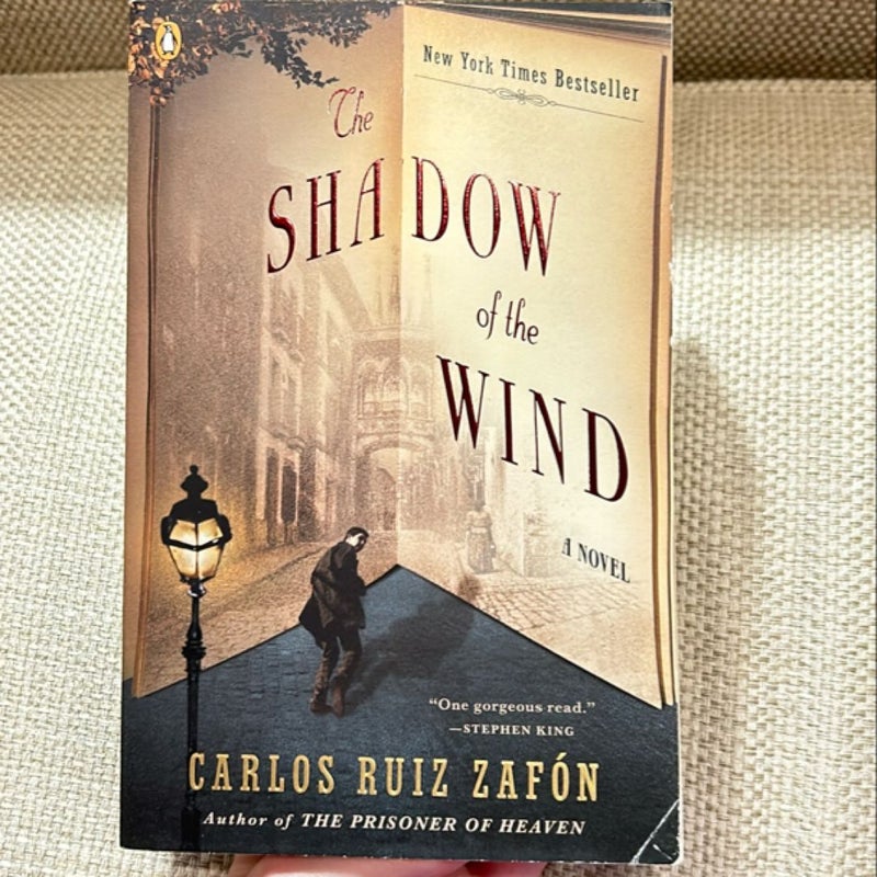 The Shadow of the Wind